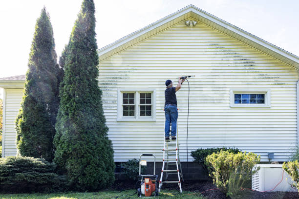 Best Residential Pressure Washing in Aho Falls, ID